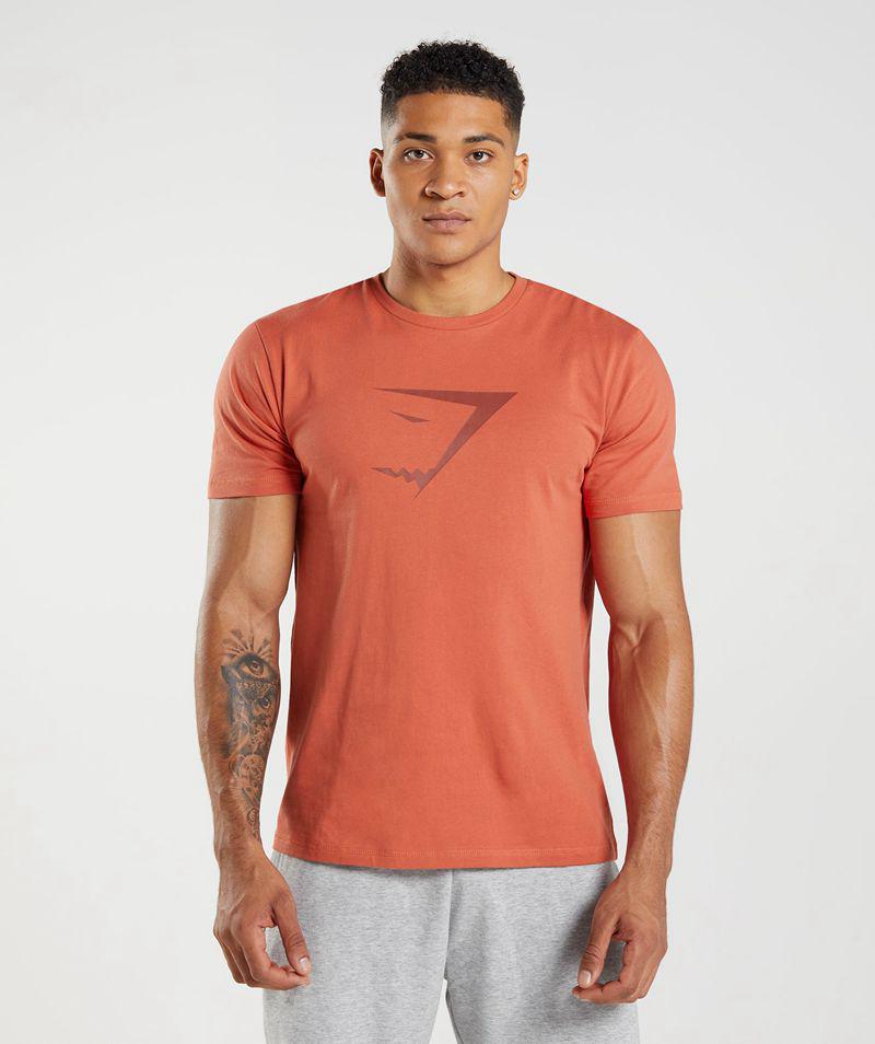 Gymshark Sharkhead Infill T-Shirts Férfi Piros  Hungary |  SJRYD-2175