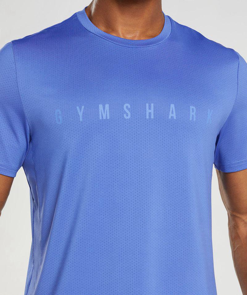 Gymshark Sport Stripe T-Shirts Férfi Kék  Hungary |  CTNZK-7195