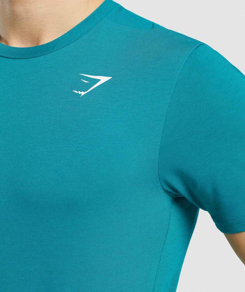 Gymshark Sports T-Shirts Férfi Türkiz  Hungary |  AUVFO-7163