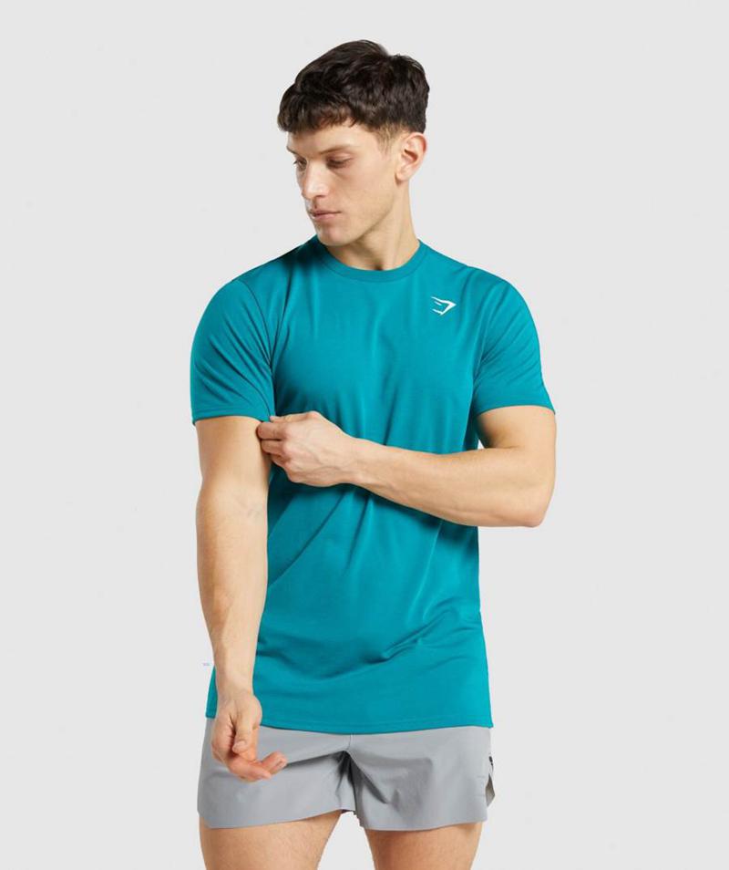 Gymshark Sports T-Shirts Férfi Türkiz  Hungary |  AUVFO-7163