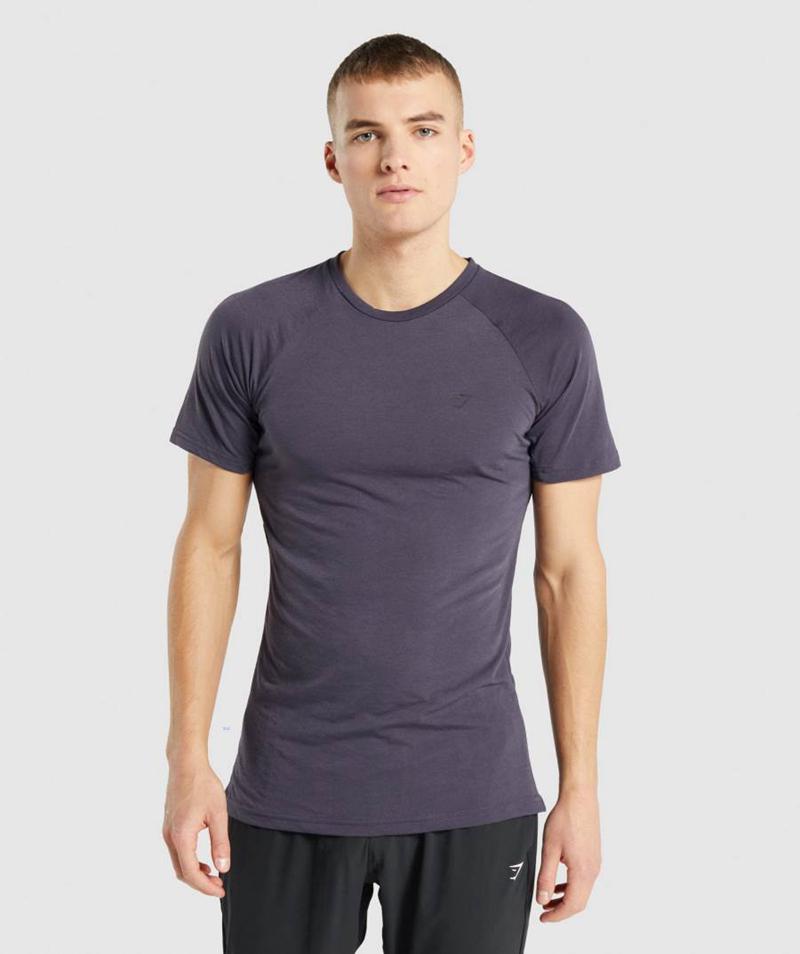 Gymshark Studio T-Shirts Férfi Sötétlila  Hungary |  KSWHD-8210