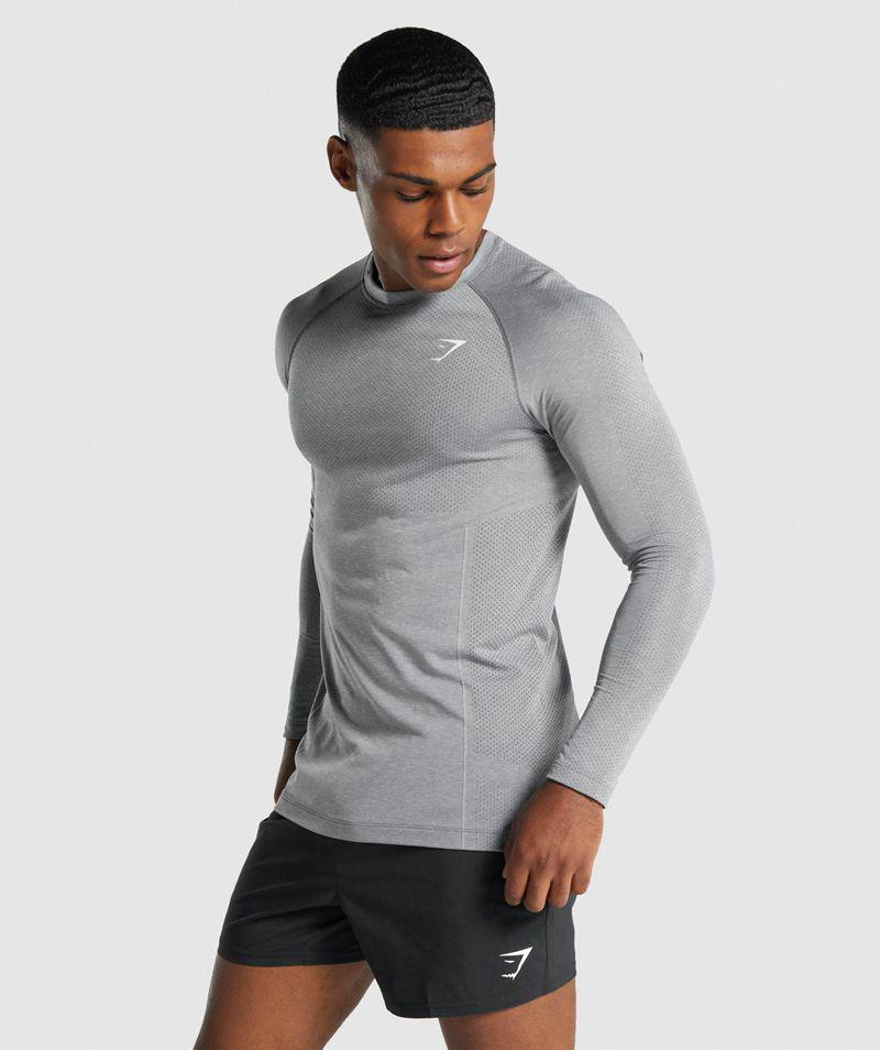 Gymshark Vital Light Seamless Long Sleeve T-Shirts Férfi Szürke  Hungary |  SGKCJ-3689