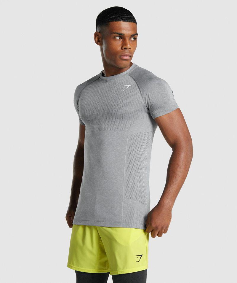 Gymshark Vital Light Seamless T-Shirts Férfi Szürke  Hungary |  FZJKI-7132