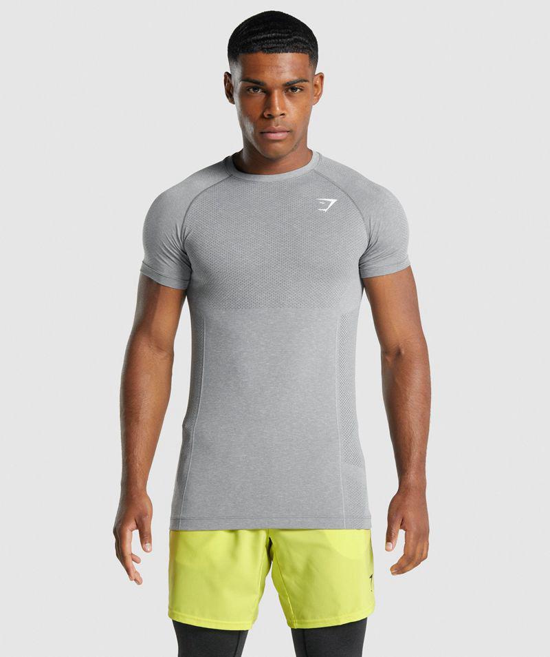 Gymshark Vital Light Seamless T-Shirts Férfi Szürke  Hungary |  FZJKI-7132