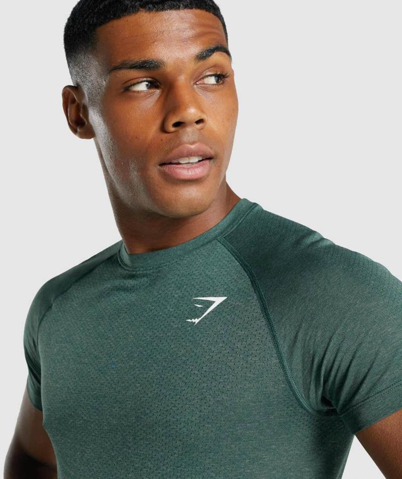 Gymshark Vital Light Seamless T-Shirts Férfi Sötétzöld  Hungary |  IRESU-0871