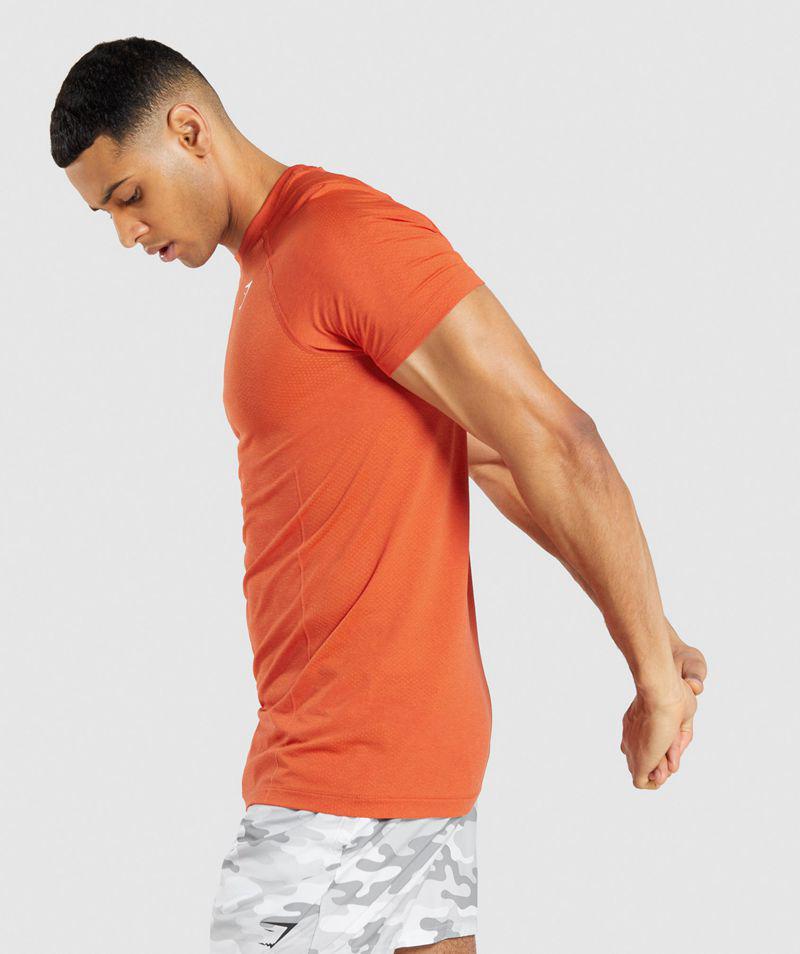 Gymshark Vital Light Seamless T-Shirts Férfi Narancssárga  Hungary |  RTHSW-0135