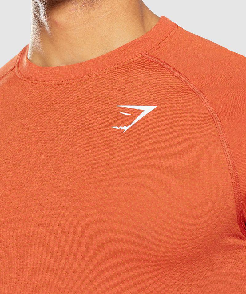 Gymshark Vital Light Seamless T-Shirts Férfi Narancssárga  Hungary |  RTHSW-0135