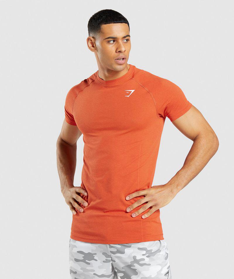 Gymshark Vital Light Seamless T-Shirts Férfi Narancssárga  Hungary |  RTHSW-0135