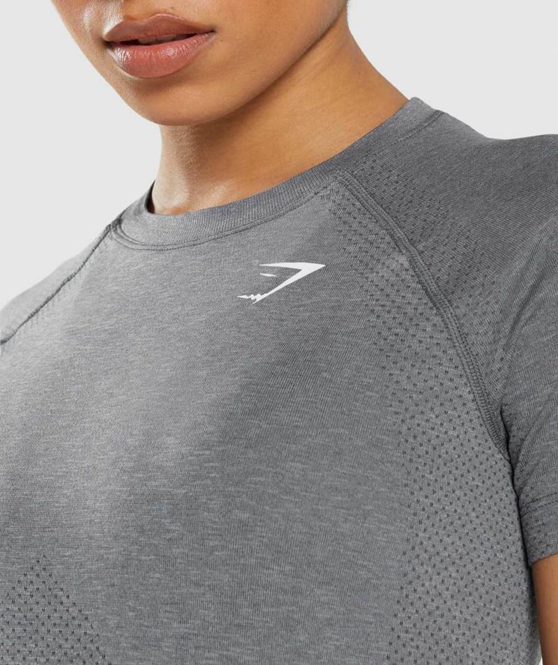 Gymshark Vital Seamless 2.0 Light T-Shirts Női Szürke  Hungary |  UVSWF-1069