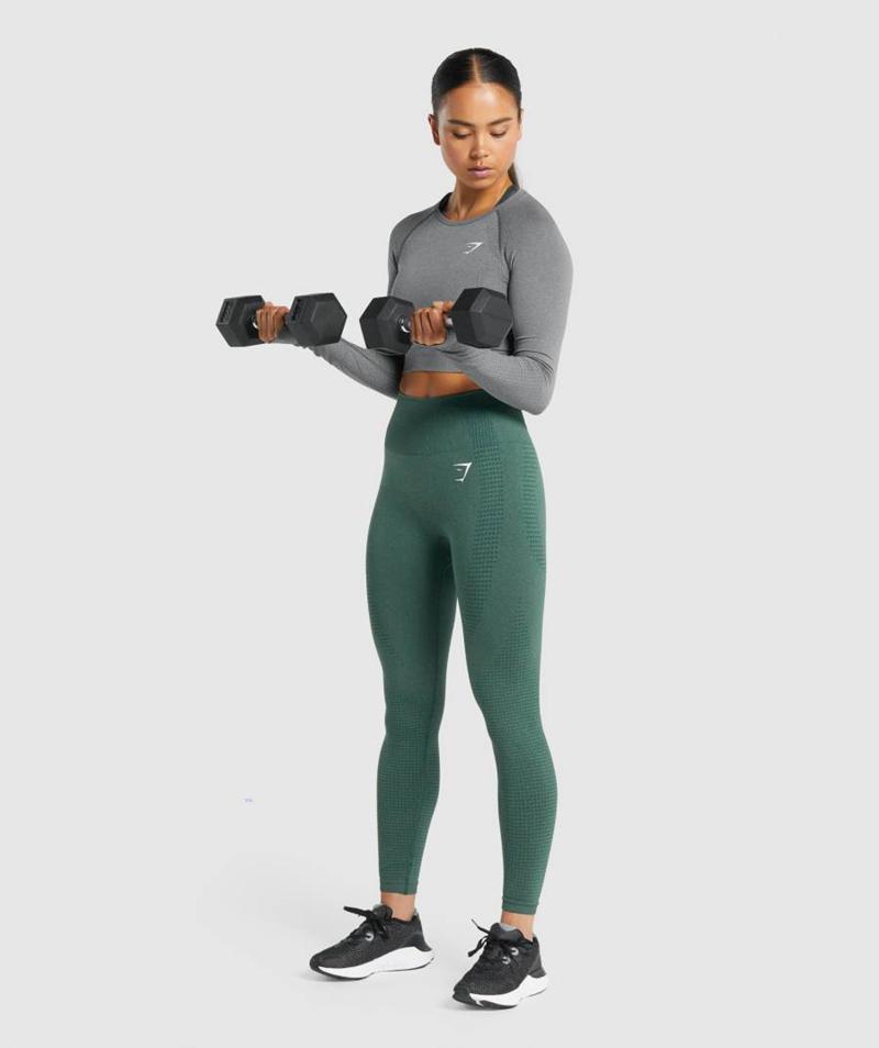 Gymshark Vital Seamless 2.0 Long Sleeve Vágott Felsők Női Szürke  Hungary |  RIDOY-0426