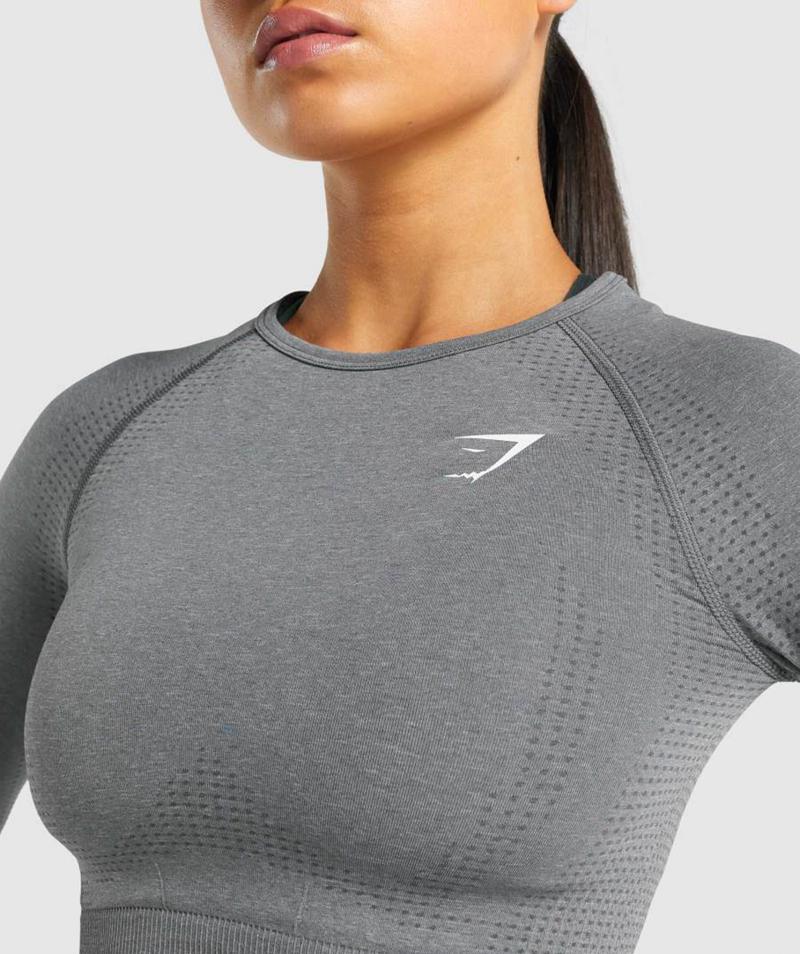 Gymshark Vital Seamless 2.0 Long Sleeve Vágott Felsők Női Szürke  Hungary |  RIDOY-0426