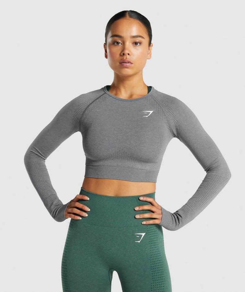 Gymshark Vital Seamless 2.0 Long Sleeve Vágott Felsők Női Szürke  Hungary |  RIDOY-0426