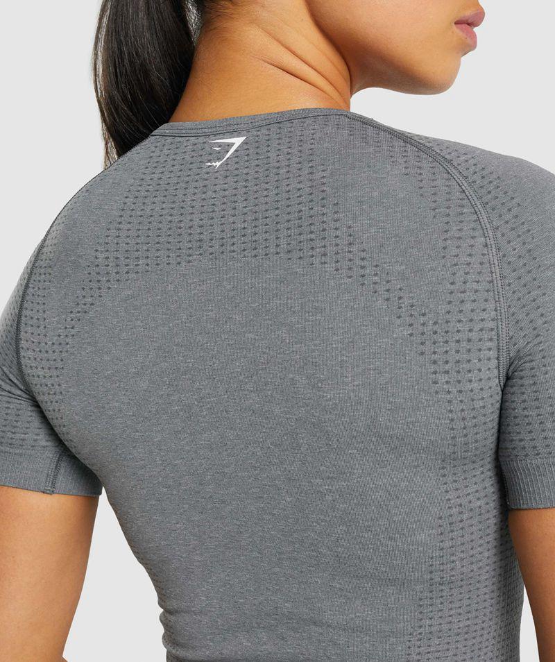 Gymshark Vital Seamless 2.0 T-Shirts Női Szürke  Hungary |  MQFLX-2673