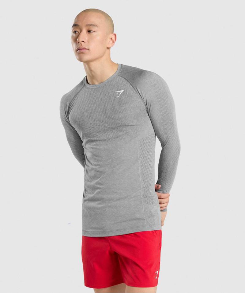 Gymshark Vital Seamless Long Sleeve Pulóverek Férfi Szürke  Hungary |  BOESA-2987