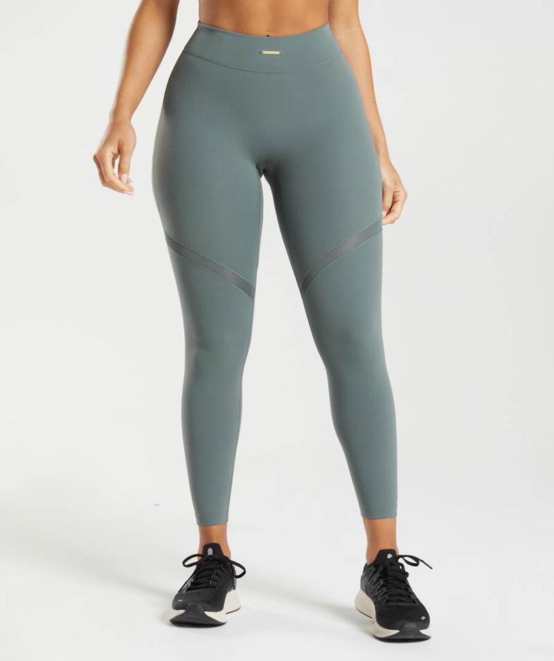 Gymshark Whitney Mesh Leggings Női Sötétkék  Hungary |  XNMYW-2850