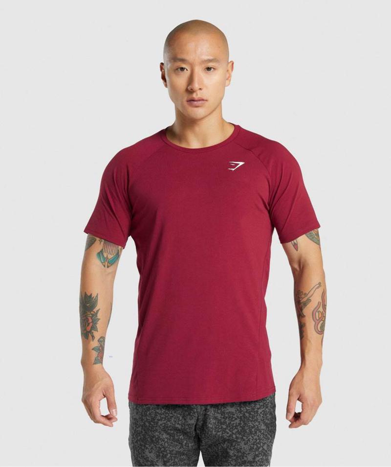 Gymshark Critical 2.0 T-Shirts Férfi Bordó Hungary | DVPJK-3817