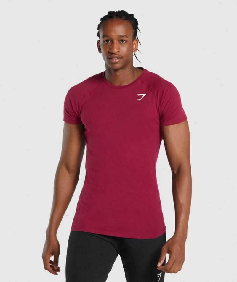 Gymshark Critical 2.0 T-Shirts Férfi Bordó Hungary | IPLXG-6132