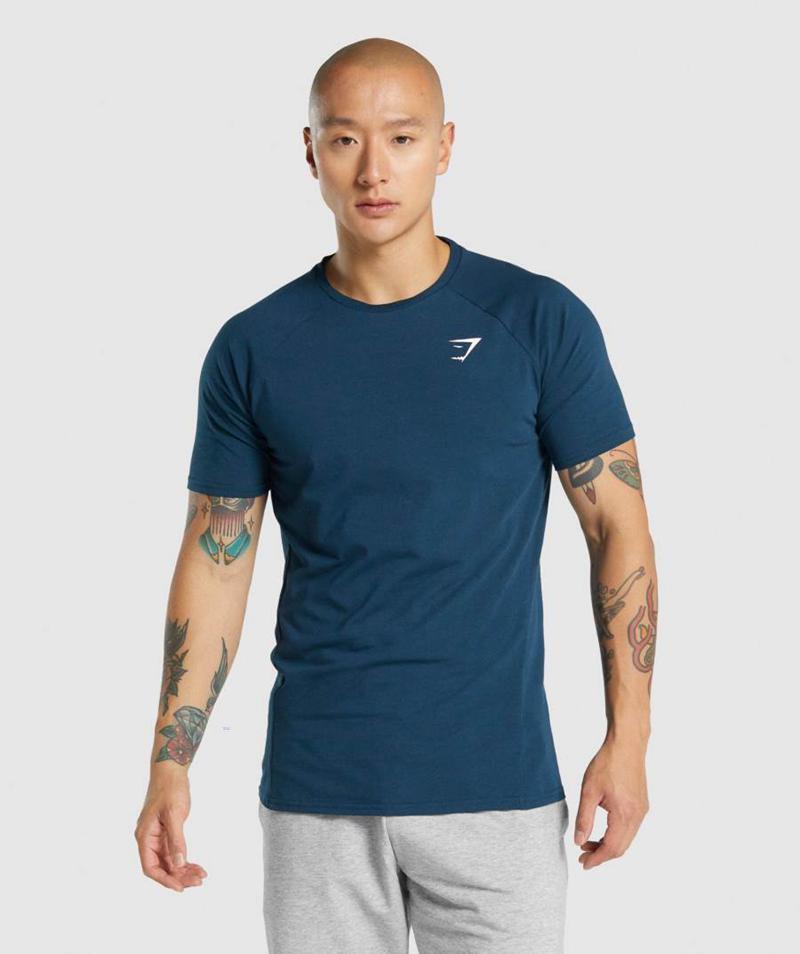 Gymshark Critical 2.0 T-Shirts Férfi Sötétkék Hungary | BPZRA-3761