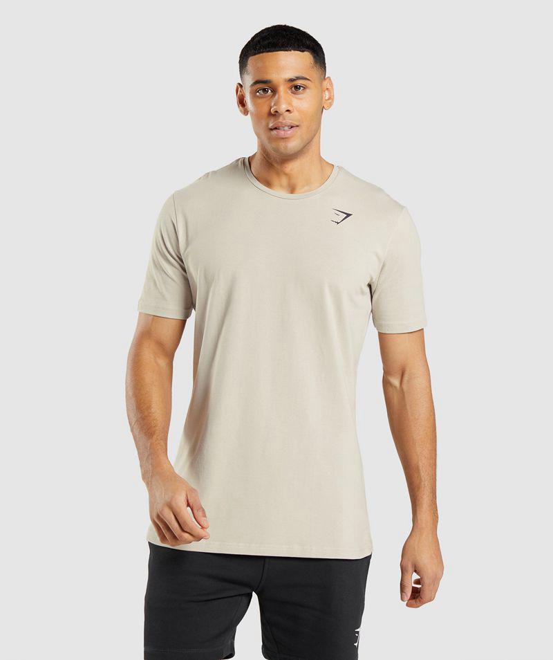 Gymshark Essential T-Shirts Férfi Szürke Hungary | IEXUQ-4571