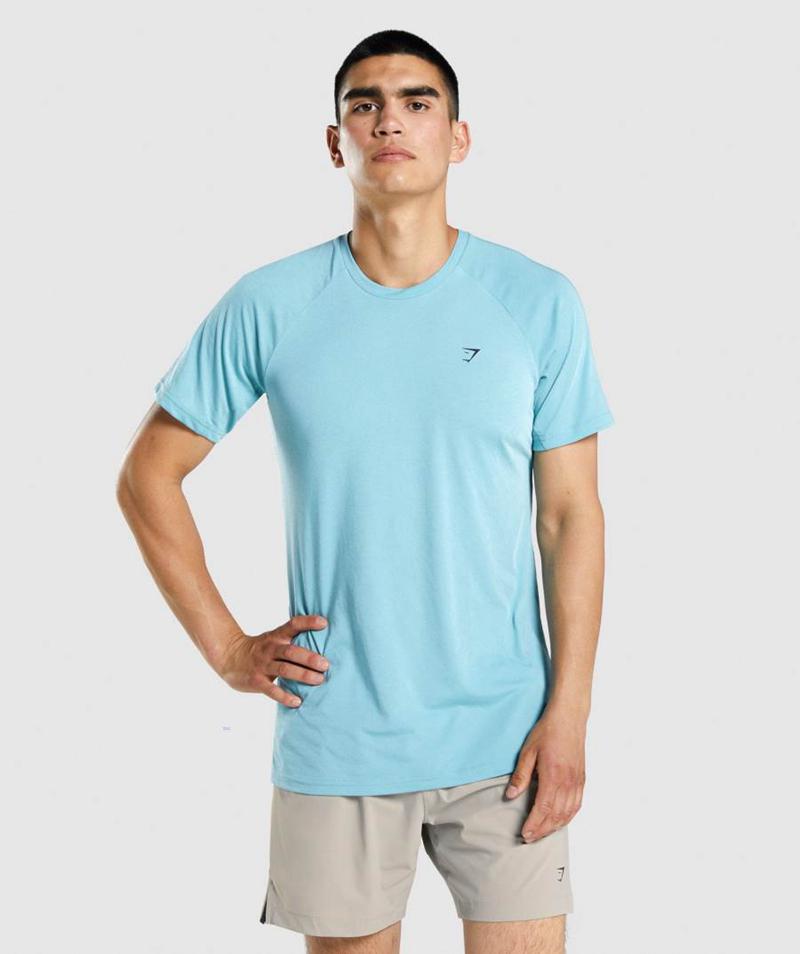 Gymshark Studio T-Shirts Férfi Türkiz Hungary | VSCXI-3708