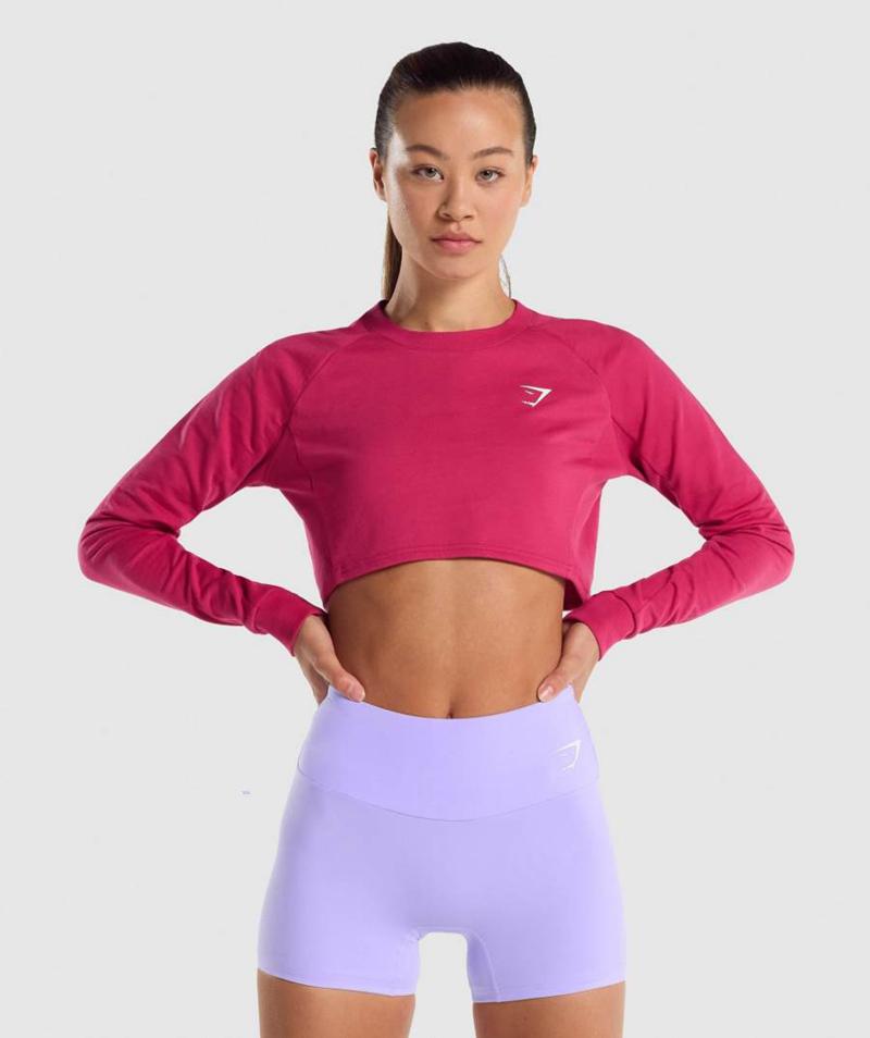 Gymshark Training Cropped Pulóver Pulóverek Női Rózsaszín Hungary | GOVWR-3907