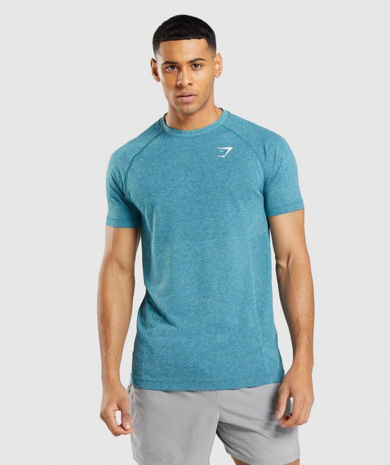 Gymshark Vital Light Seamless T-Shirts Férfi Türkiz Hungary | CPYGN-3425